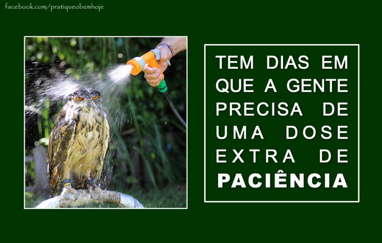 Tem dias em que a gente precisa de uma dose extra de paciência