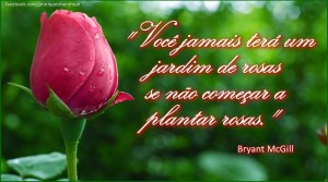 Você jamais terá um jardim de rosas se não começar a plantar rosas