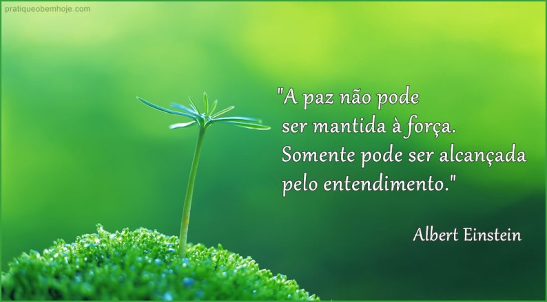 A paz não pode ser mantida à força.  Somente pode ser alcançada pelo entendimento.