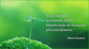 A paz não pode ser mantida à força.  Somente pode ser alcançada pelo entendimento.
