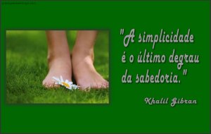 A simplicidade é o último degrau da sabedoria 2