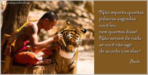 Não importa quantas palavras sagradas você leu