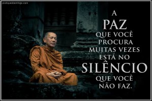 A paz que você procura muitas vezes está no silêncio que você não faz