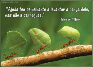 Ajuda teu semelhante a levantar a carga dele, mas não a carregues