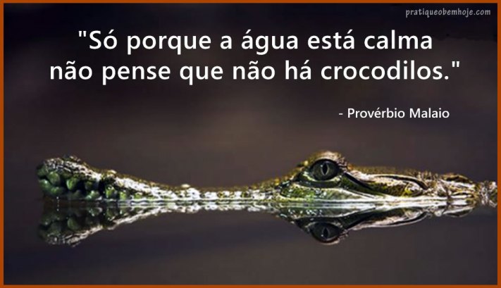 Só porque a água está calma não pense que não há crocodilos