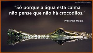 Só porque a água está calma não pense que não há crocodilos