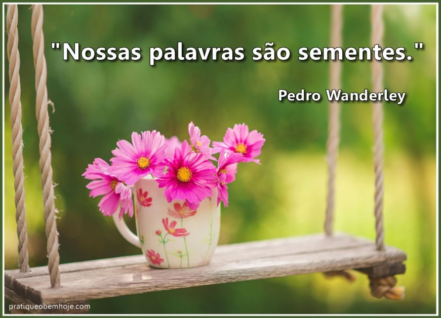 Nossas palavras são sementes