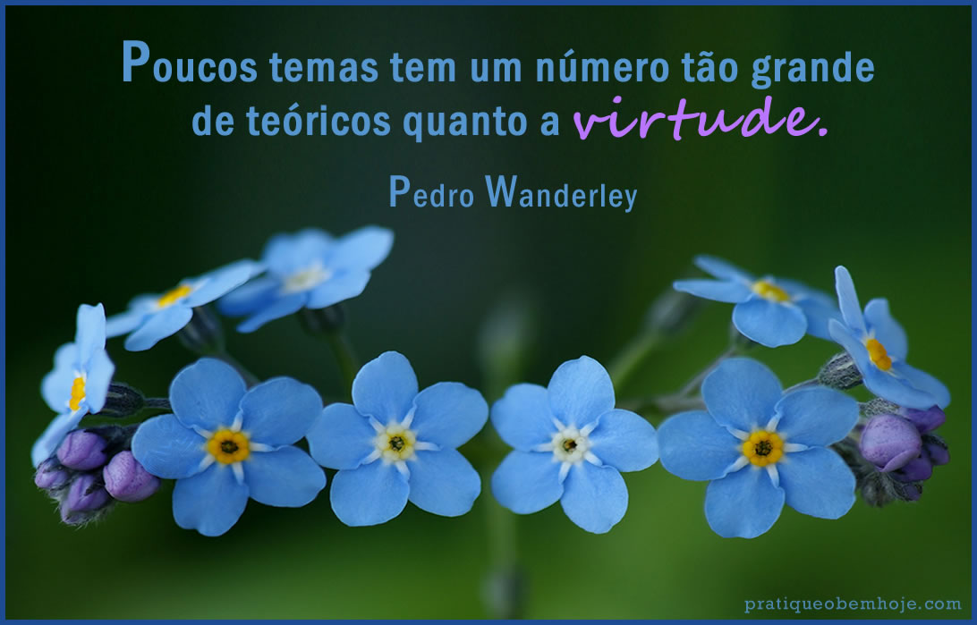 Poucos temas tem um número tão grande de teóricos quanto a virtude
