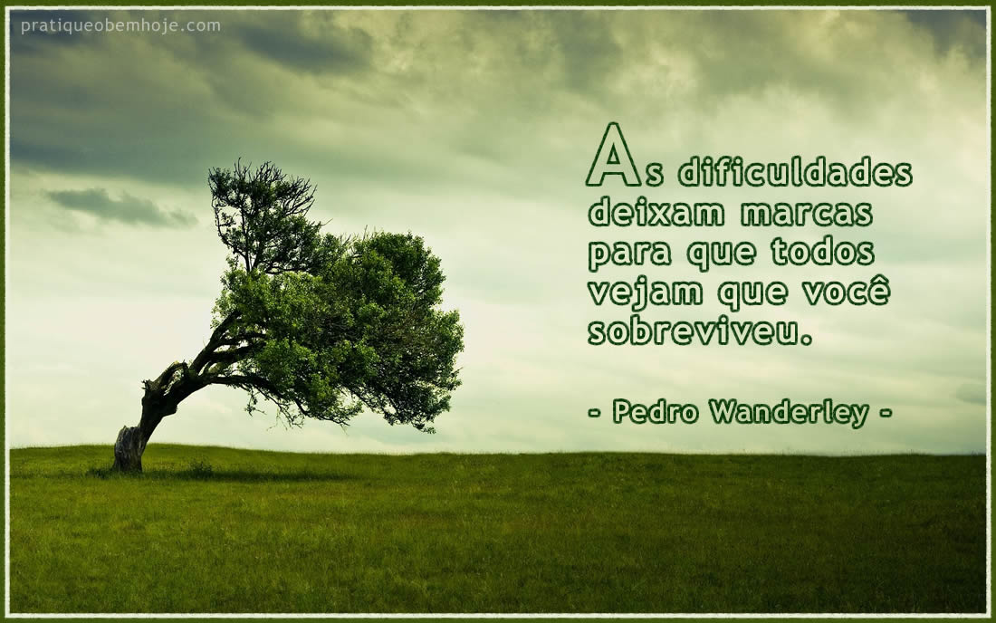 As dificuldades deixam marcas pra que todos vejam que você sobreviveu