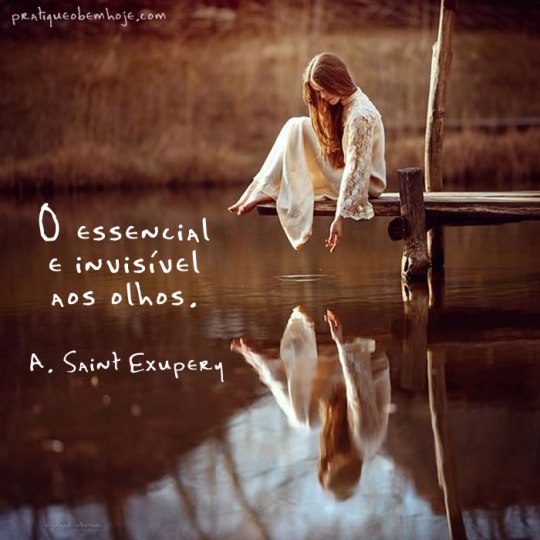 o-essencial-e-invisivel-aos-olhos