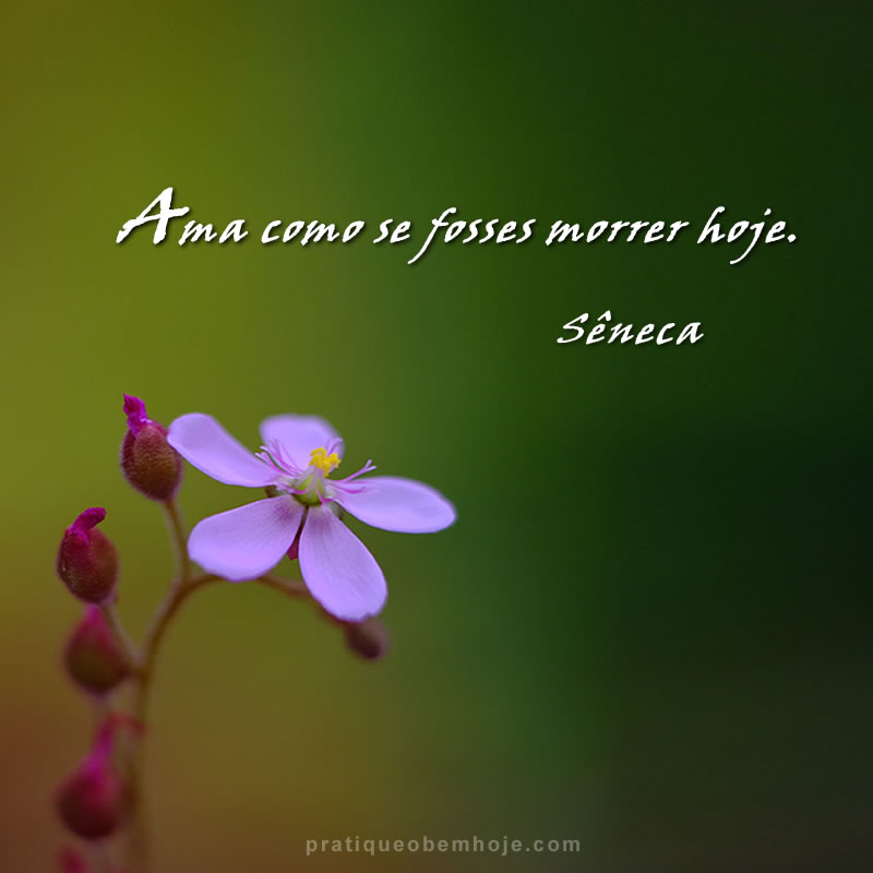 ama-como-se-fosses-morrer-hoje