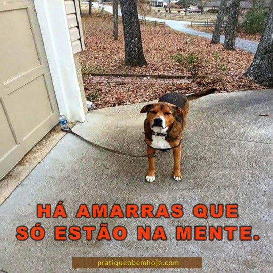 ha-amarras-que-so-estao-na-mente