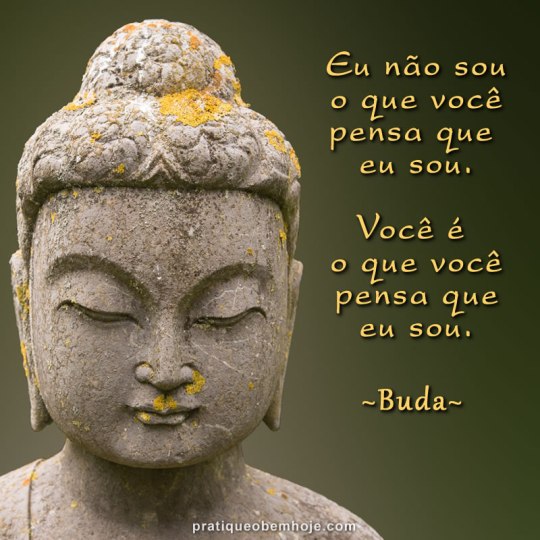 Eu não sou o que você pensa que eu sou