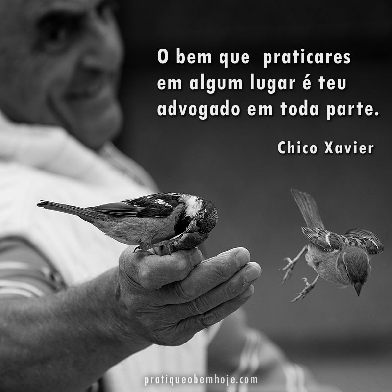 O bem que praticares é teu advogado 2