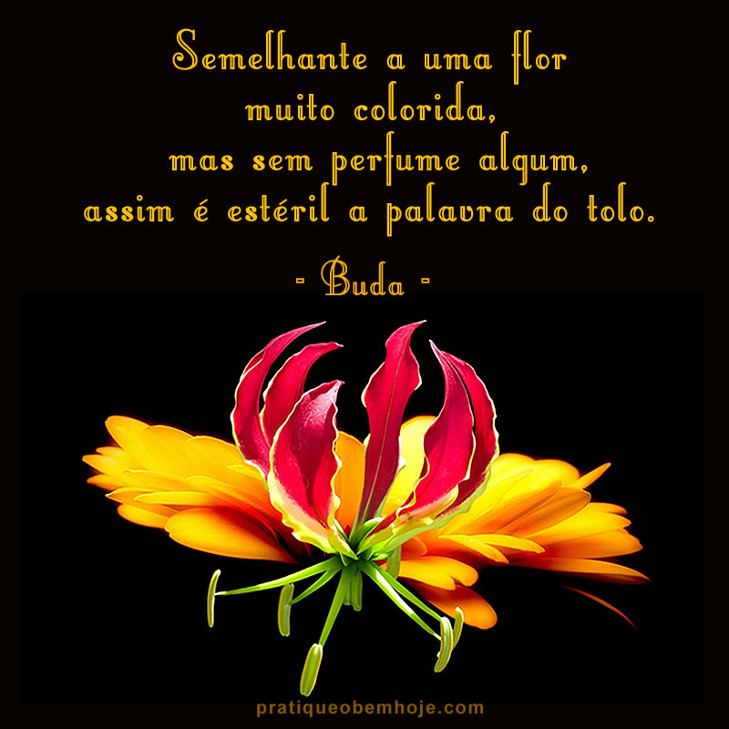 Semelhante a uma flor muito colorida