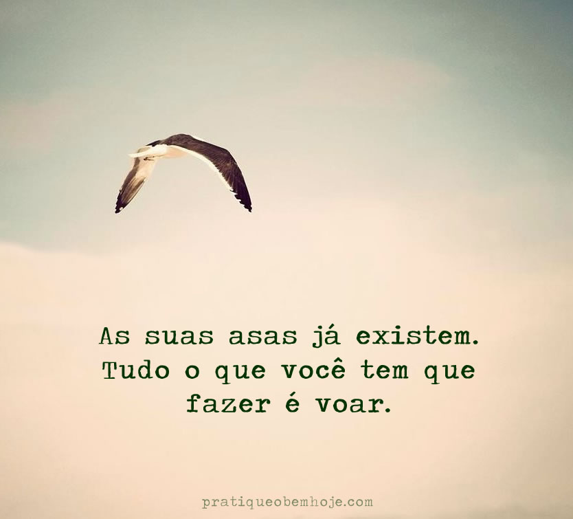 As suas asas já existem