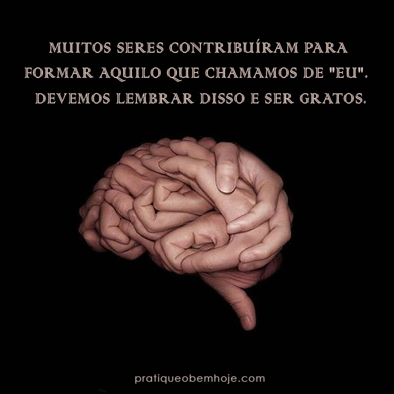 Muitos seres contribuíram para formar