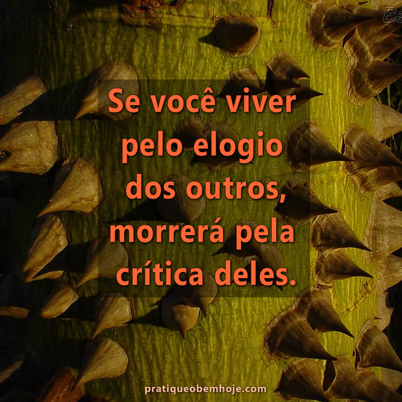 Se você viver pelo elogio dos outros morrerá pela crítica deles