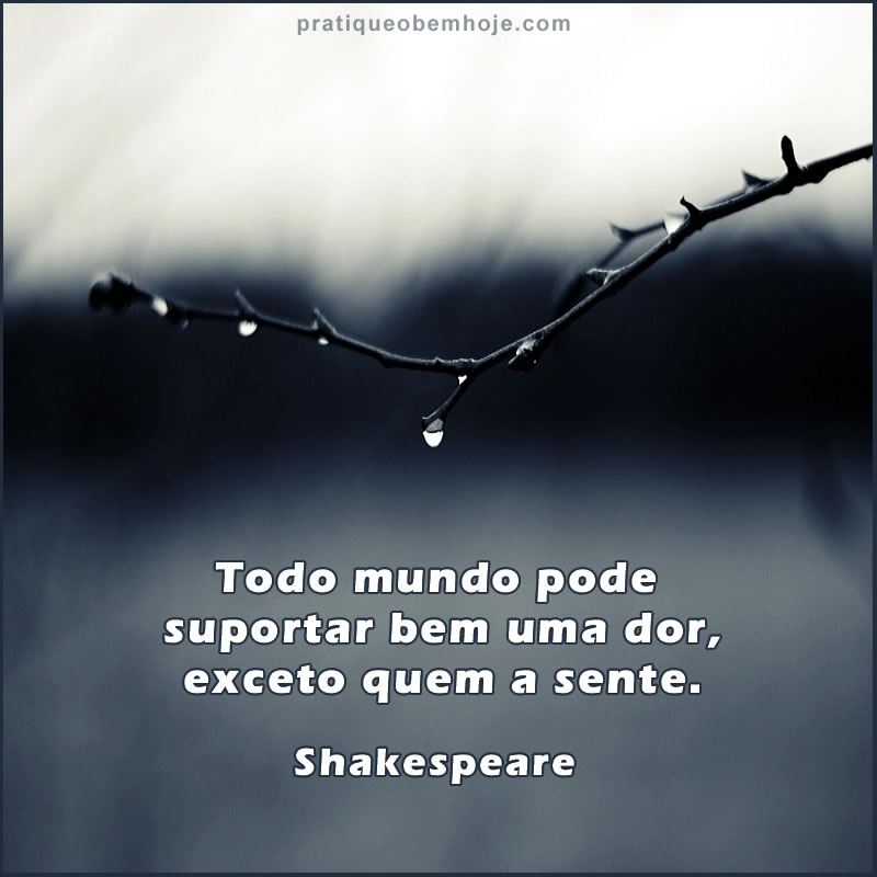 Todo mundo pode suportar bem uma dor