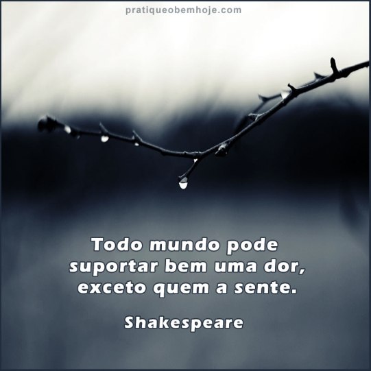 Todo mundo pode suportar bem uma dor