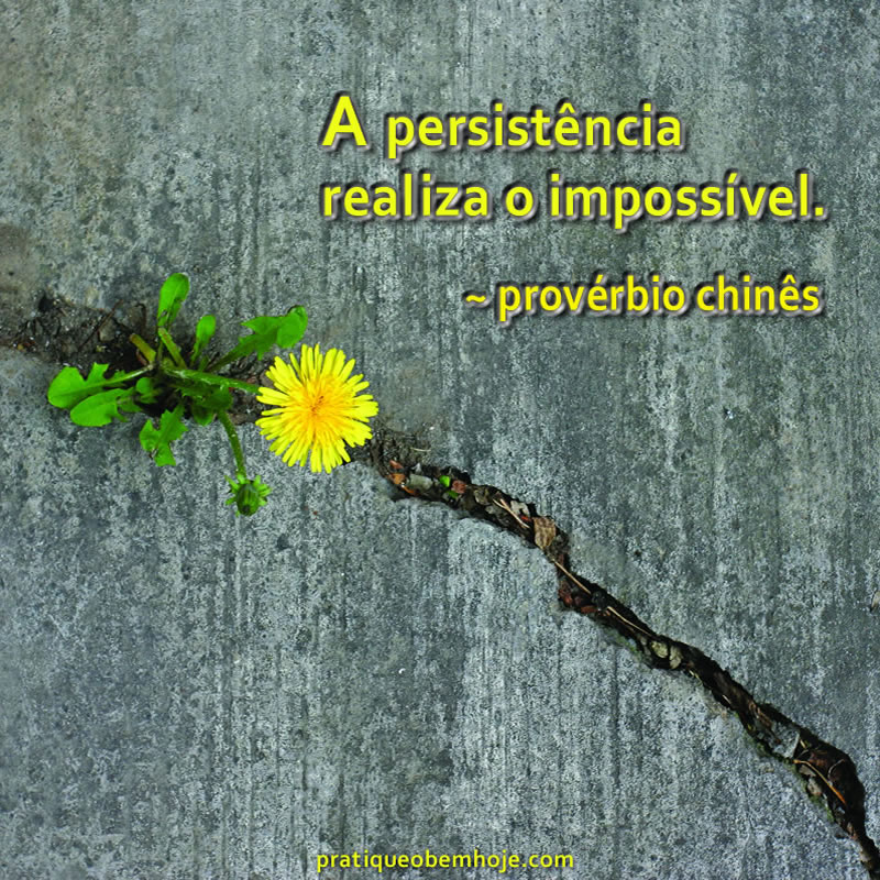 A persistência realiza o impossível