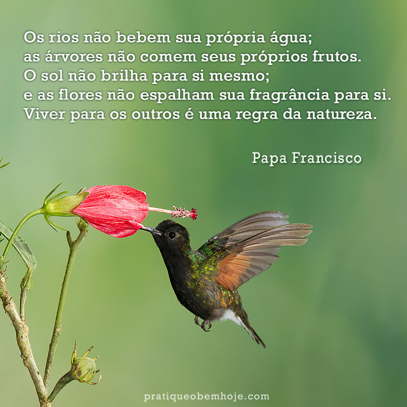 Os rios não bebem sua própria água