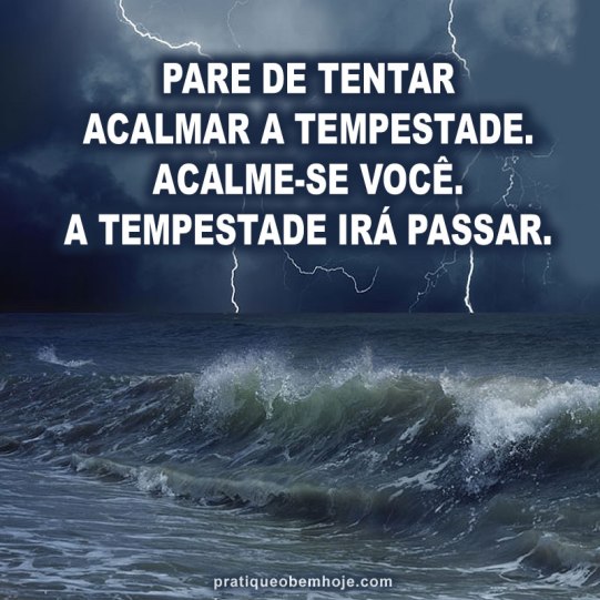 Pare de tentar acalmar a tempestade