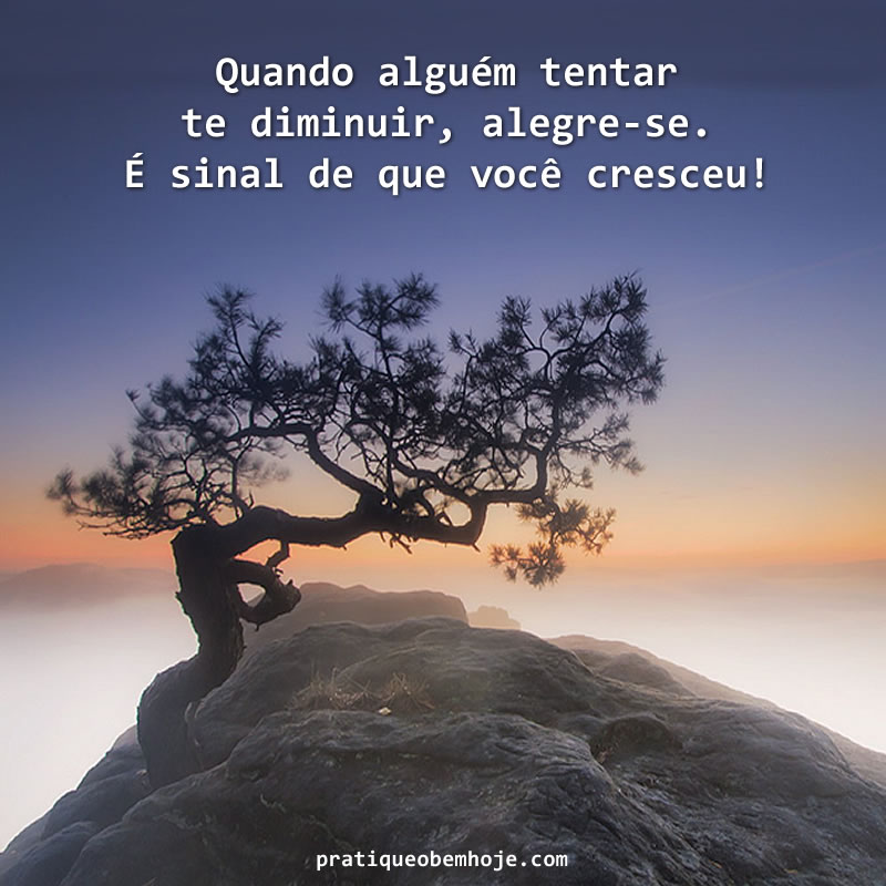 Quando alguém tentar te diminuir