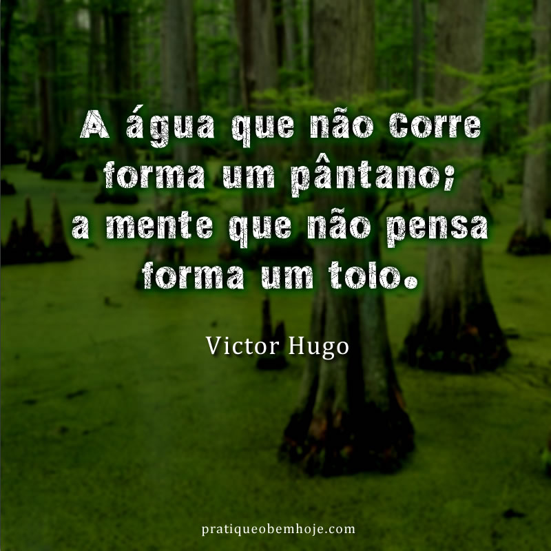 A água que não corre forma um pântano