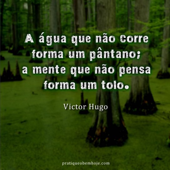 A água que não corre forma um pântano