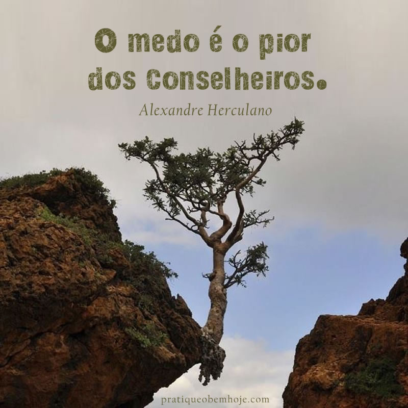 O medo é o pior dos conselheiros