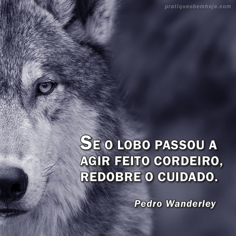 Se o lobo passou a agir feito cordeiro