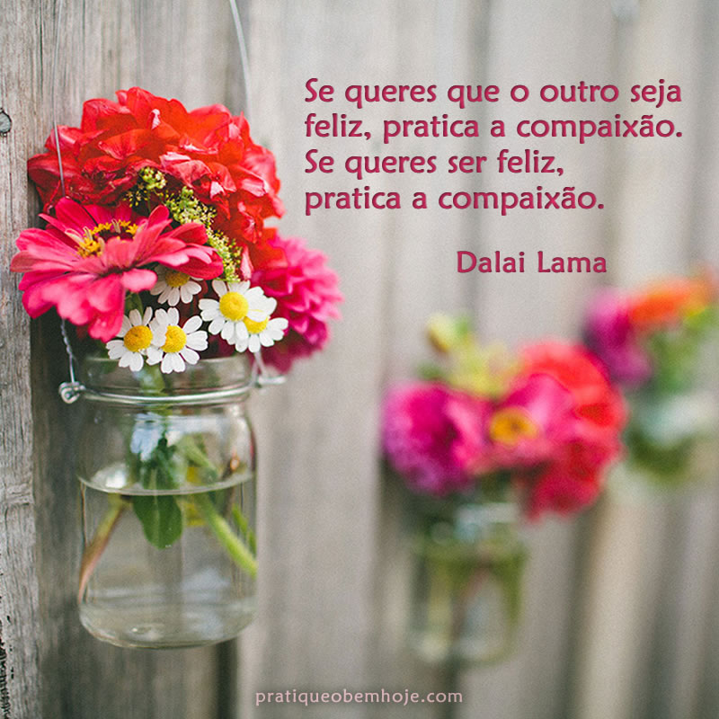 Se queres que o outro seja feliz, pratica a compaixão