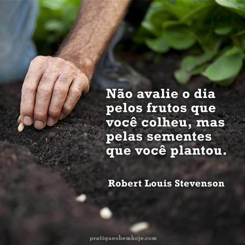 Não avalie o dia pelos frutos que você colheu