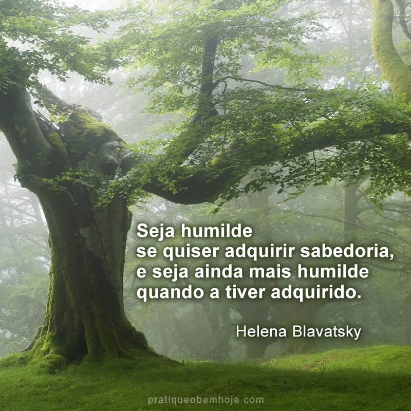 Seja humilde se quiser adquirir sabedoria