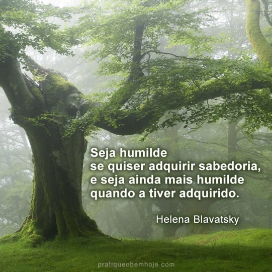 Seja humilde se quiser adquirir sabedoria