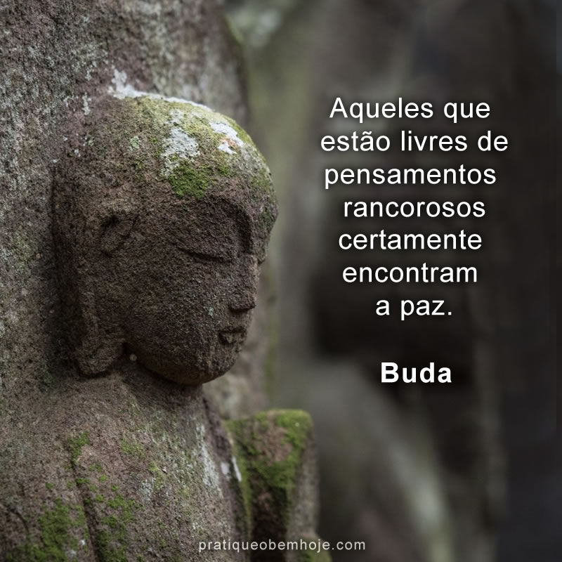 Aqueles que estão livres de pensamentos rancorosos