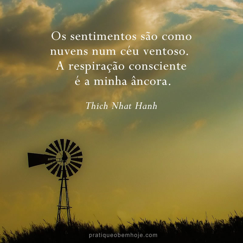 Os sentimentos são como nuvens num céu ventoso