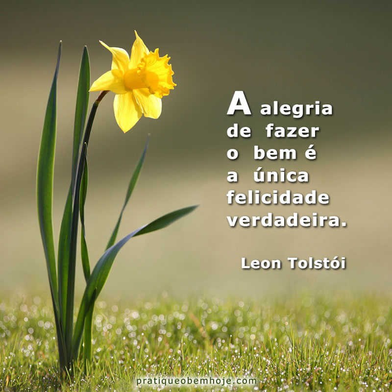 A alegria de fazer o bem é a única felicidade verdadeira