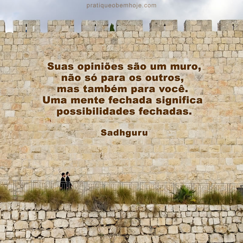 Suas opiniões são um muro.jpg