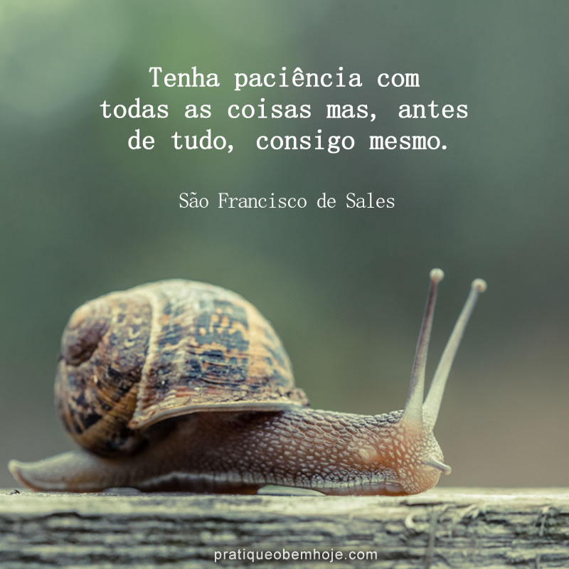 Tenha paciência com todas as coisas
