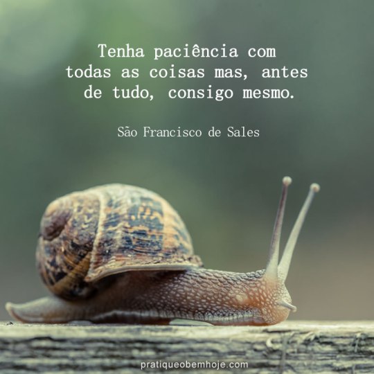 Tenha paciência com todas as coisas