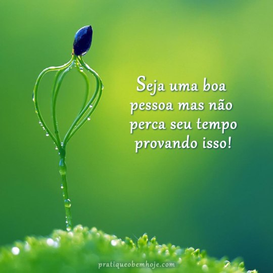 Seja uma boa pessoa mas não perca seu tempo provando isso