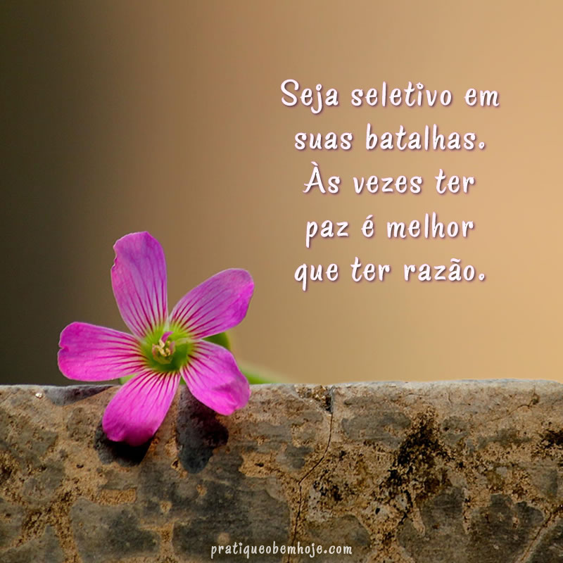 Seja seletivo em suas batalhas