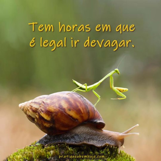 Tem horas em que é legal ir devagar