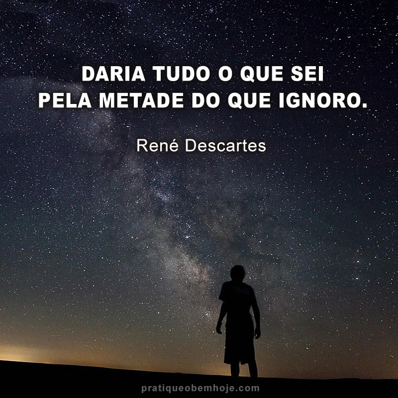Daria tudo o que sei pela metade do que ignoro