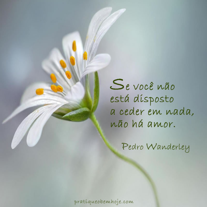 Se você não está disposto a ceder em nada