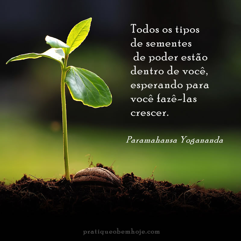 Todos os tipos de sementes de poder estão dentro de você