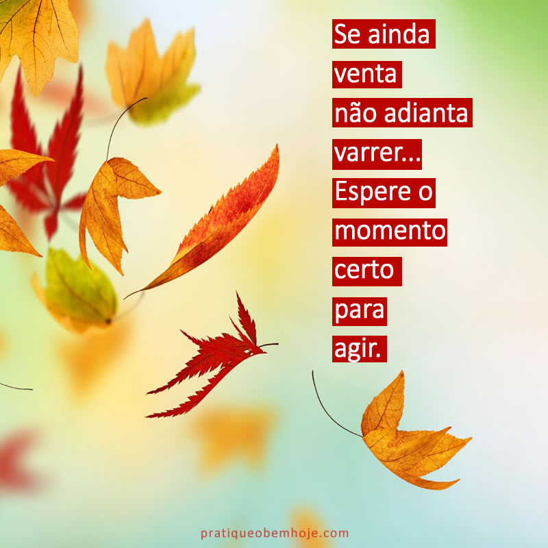 Se ainda venta não adianta varrer