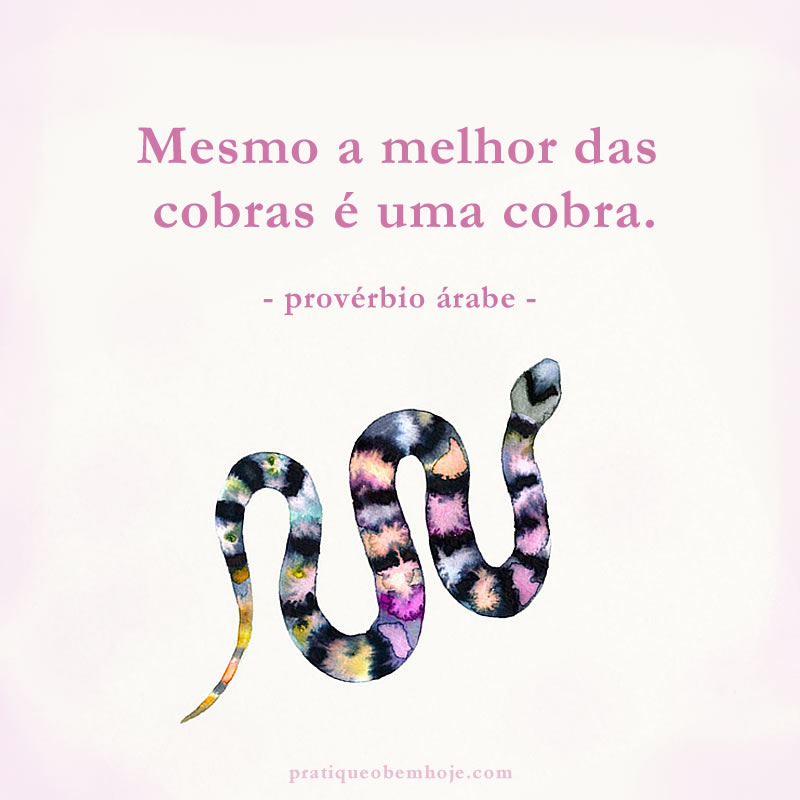 Mesmo a melhor das cobras é uma cobra
